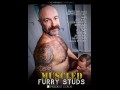 Muscled Furry Studs