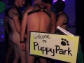 Puppy Pound - Part 7