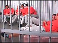 Bareback Jail Gang Bang